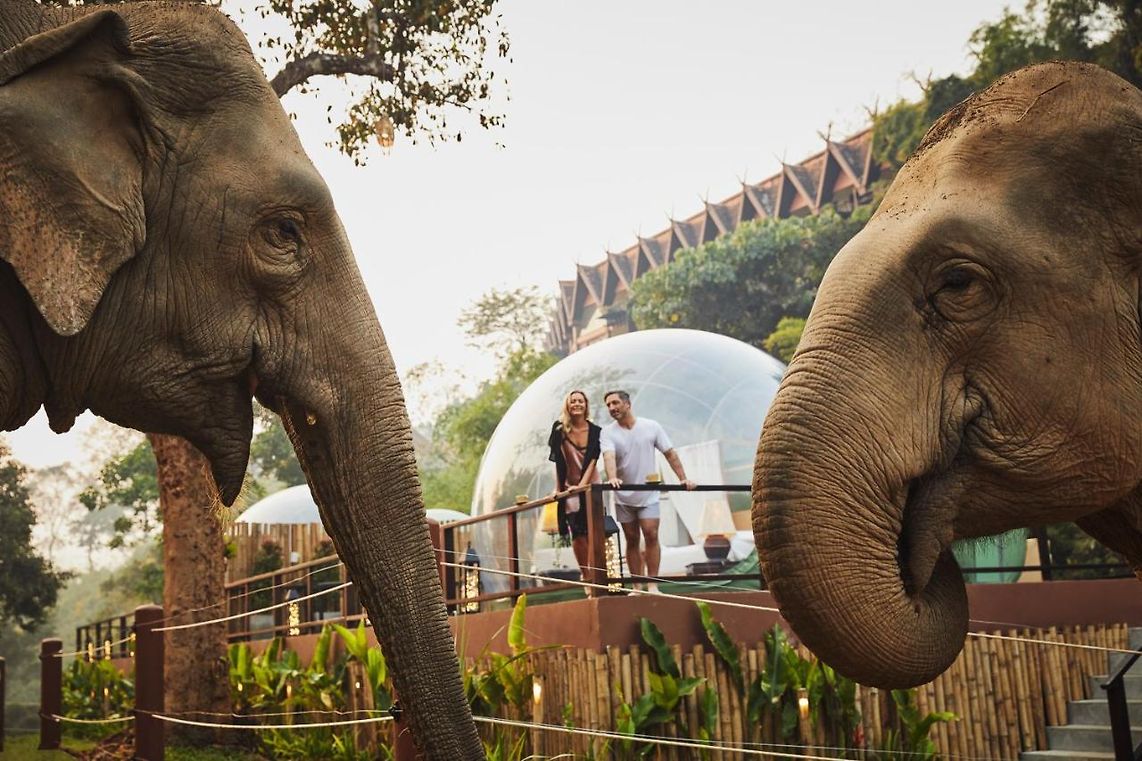 Anantara Golden Triangle Elephant